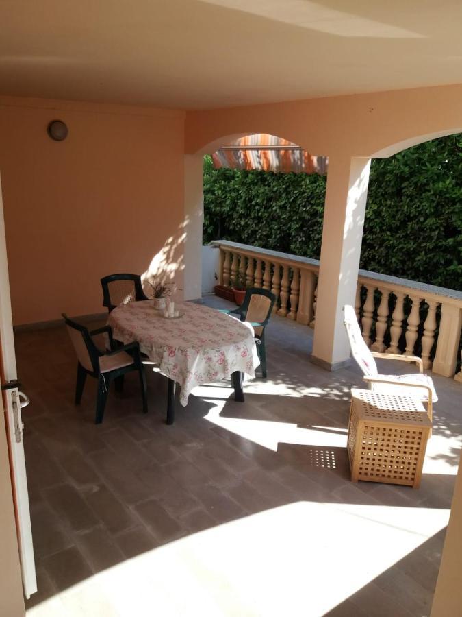 Goga Apartment Petrcane Exterior photo